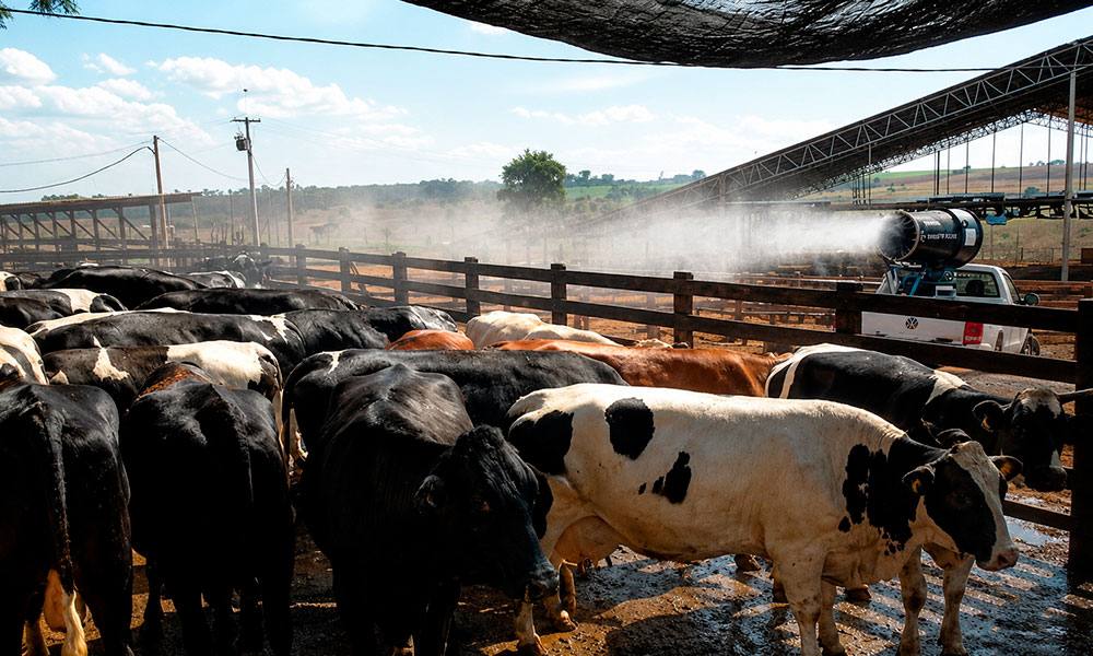 Agroindústria e pecuária — climatização e controle sanitário